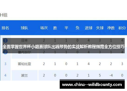 全面掌握世界杯小组赛球队出线形势的实战解析教程指南全方位技巧