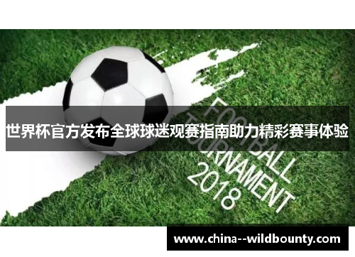 世界杯官方发布全球球迷观赛指南助力精彩赛事体验