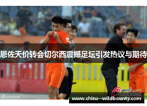 恩佐天价转会切尔西震撼足坛引发热议与期待