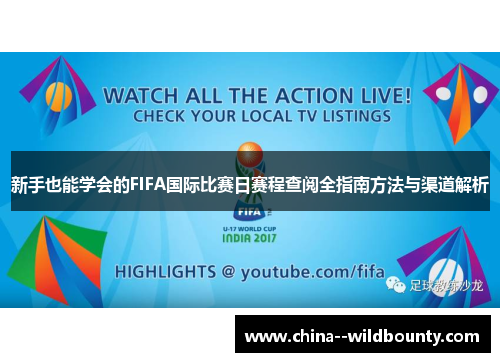 新手也能学会的FIFA国际比赛日赛程查阅全指南方法与渠道解析