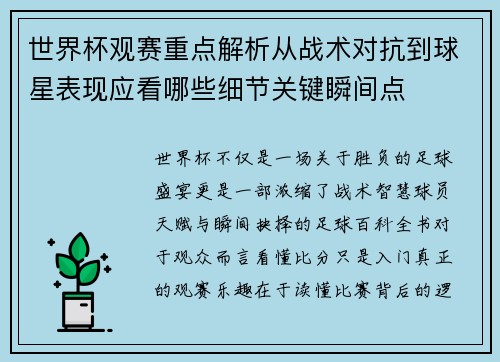 世界杯观赛重点解析从战术对抗到球星表现应看哪些细节关键瞬间点