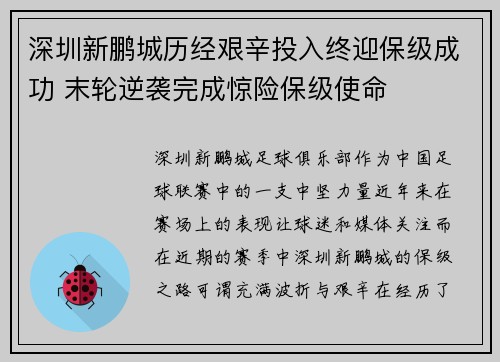 深圳新鹏城历经艰辛投入终迎保级成功 末轮逆袭完成惊险保级使命