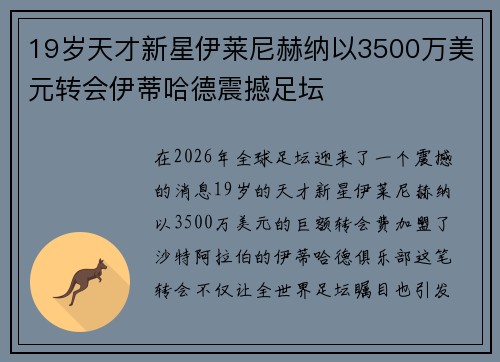 19岁天才新星伊莱尼赫纳以3500万美元转会伊蒂哈德震撼足坛